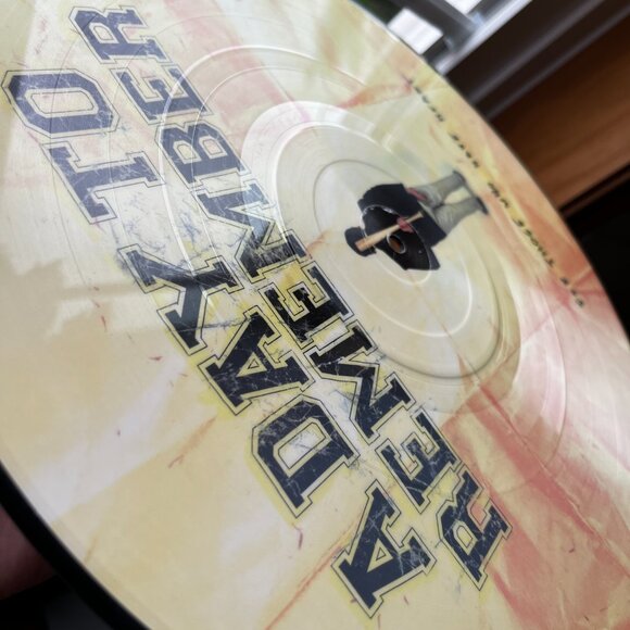 A Day To Remember For Those Who Have Heart Vinyl Limited Edition Picture Disc LP - Picture 6 of 7
